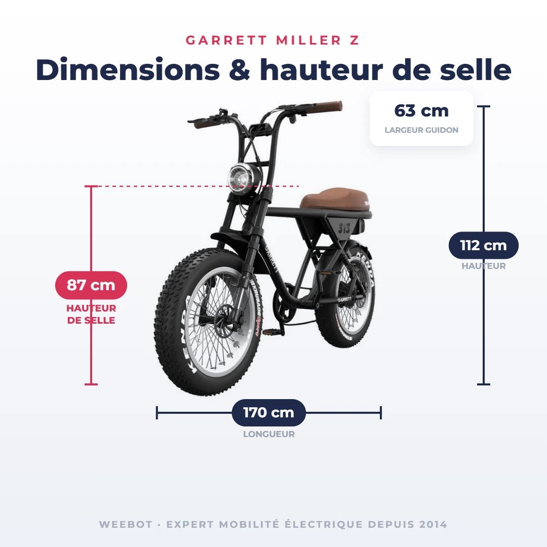Fatbike Électrique Biplace Cargo Garrett Miller Z - Weebot