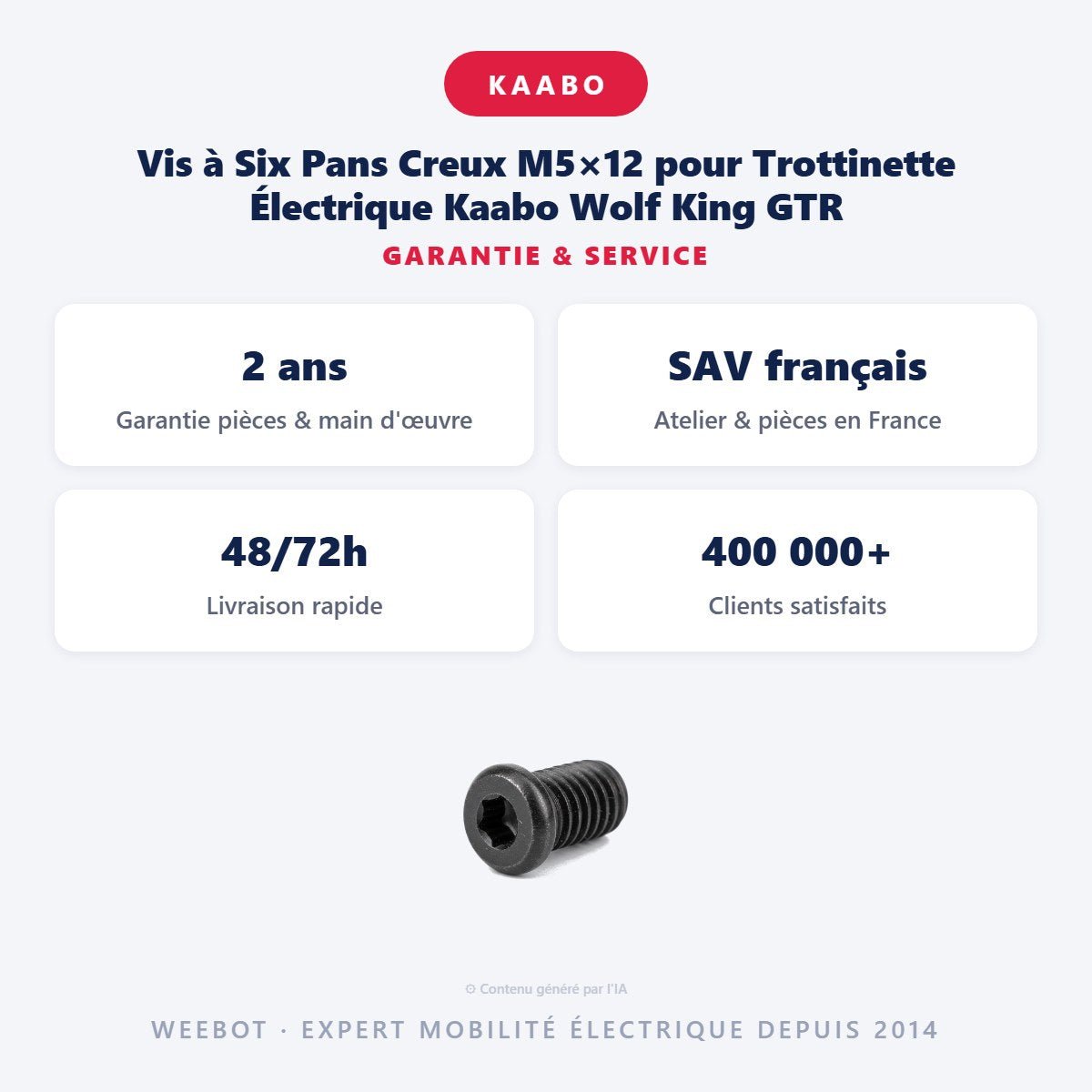Vis à Six Pans Creux M5×12 pour Trottinette Électrique Kaabo Wolf King GTR - Weebot