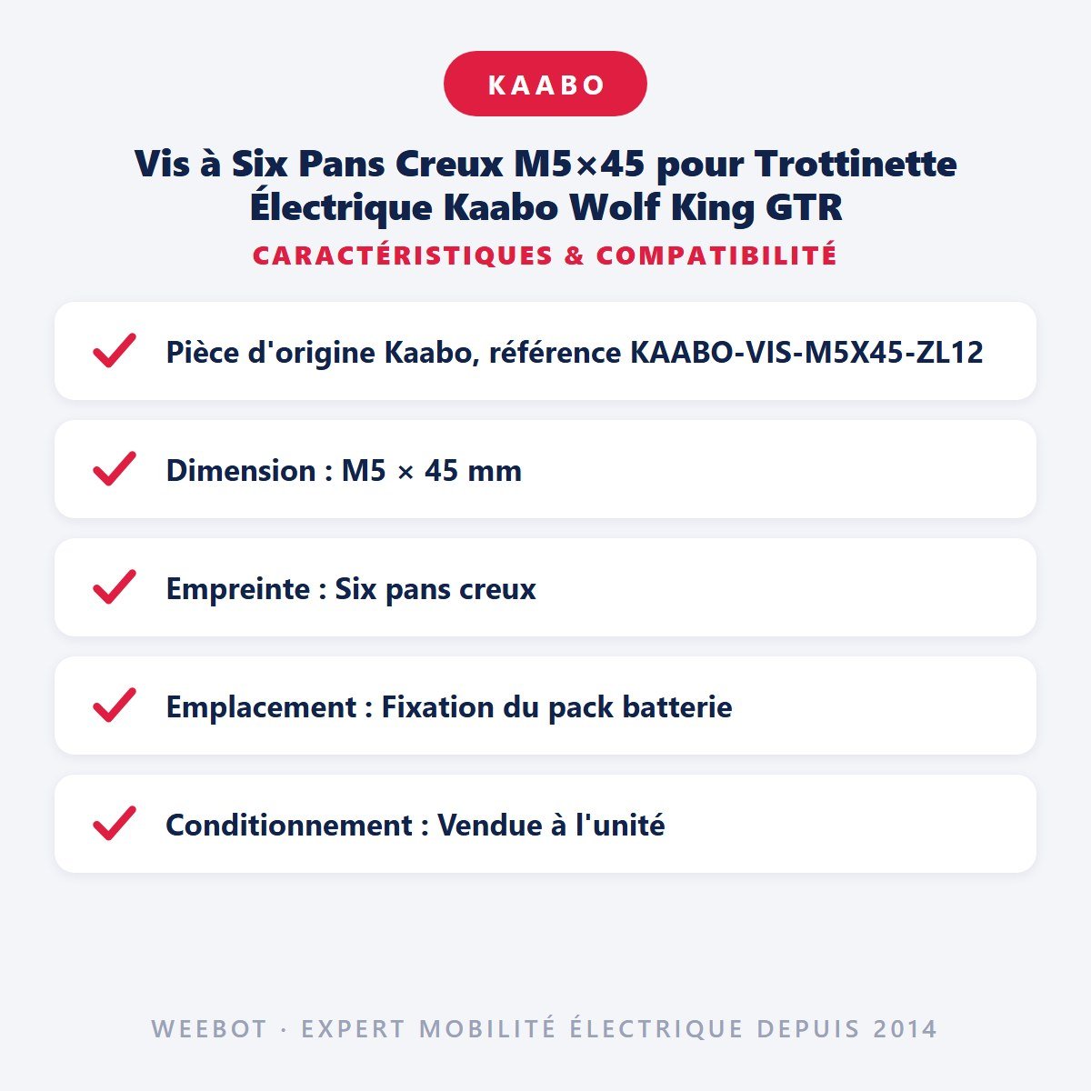 Vis à Six Pans Creux M5×45 pour Trottinette Électrique Kaabo Wolf King GTR - Weebot